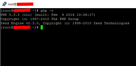 Checking PHP version using PuTTY